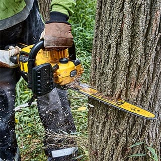 Top view of DEWALT 18 in. 60V MAX* Brushless Chainsaw cutting into a tree