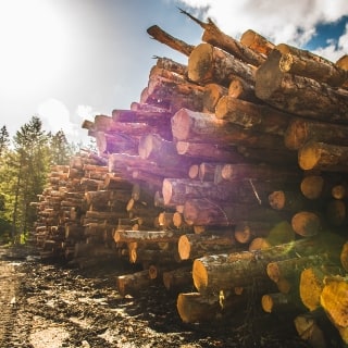 Hardwood logs that are made into Traeger Pellets. Hardwood logs that are made into Traeger Pellets.