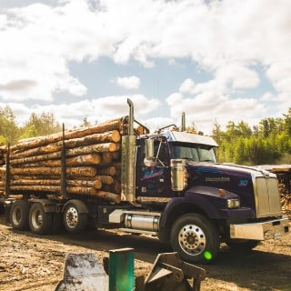 Hardwood logs that are made into Traeger Pellets. Hardwood logs that are made into Traeger Pellets.