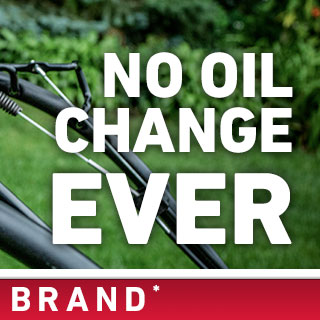 Image of with text "No Oil Change Ever"