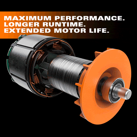 Brushless Motor