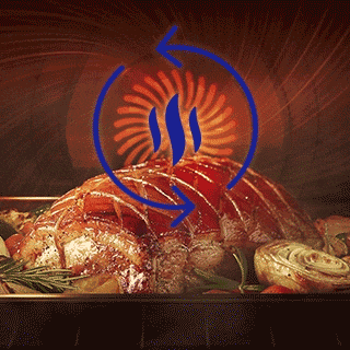 Food cooking in oven. Convection fan icon shown with heat icon overlayed  and arrows rotating in a circle around it.