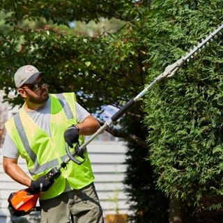 Man trimming bush with PAS hedge trimmer attachment