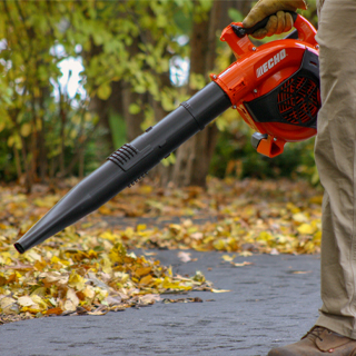 ECHO handheld leaf blower