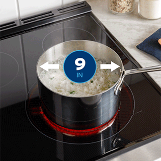 A boiling pot of rice sits on the 9" burner with a callout that shows the 12" burner.